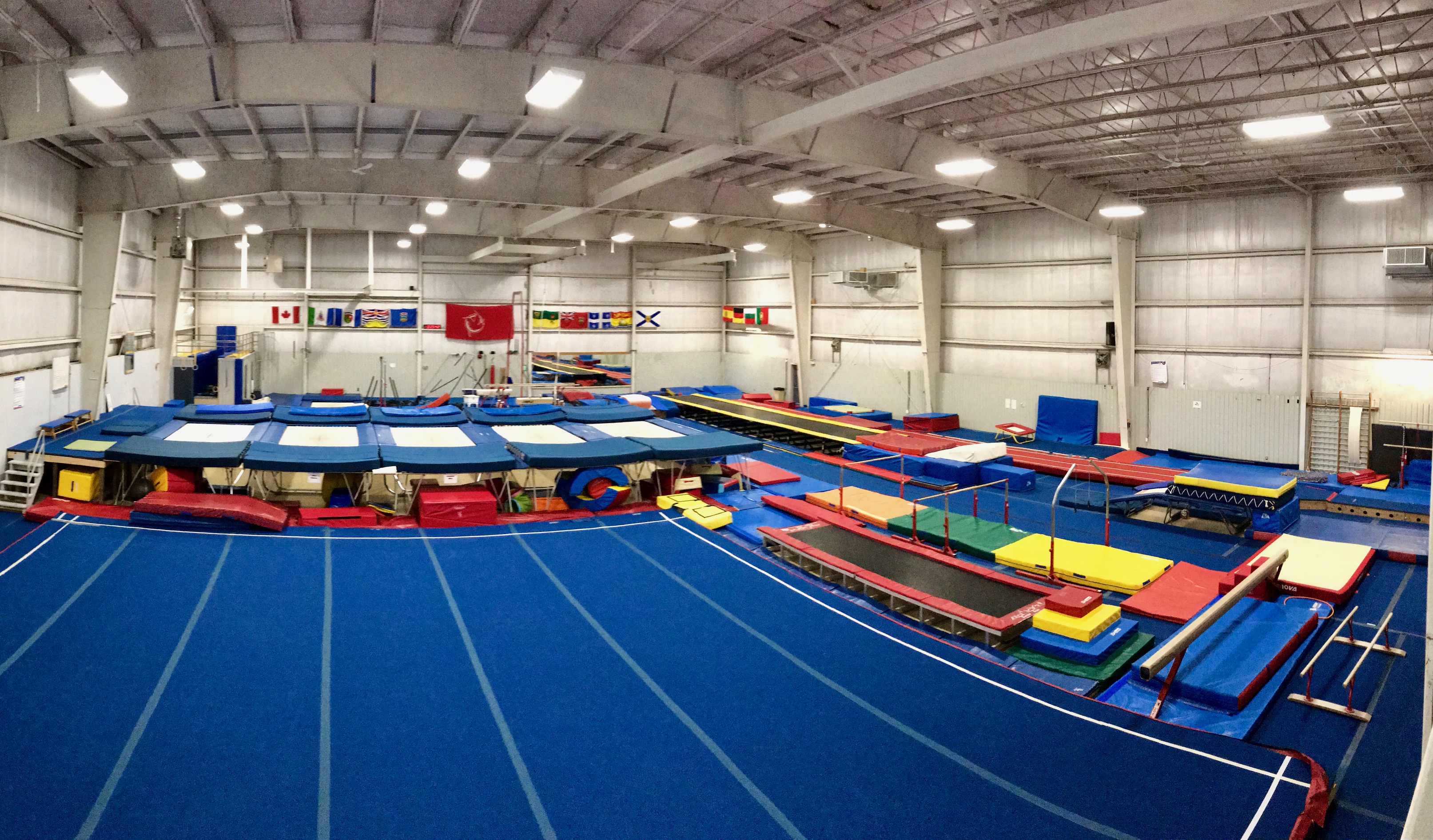 Pano Gym Photo Recreational & Competitive gymnastics