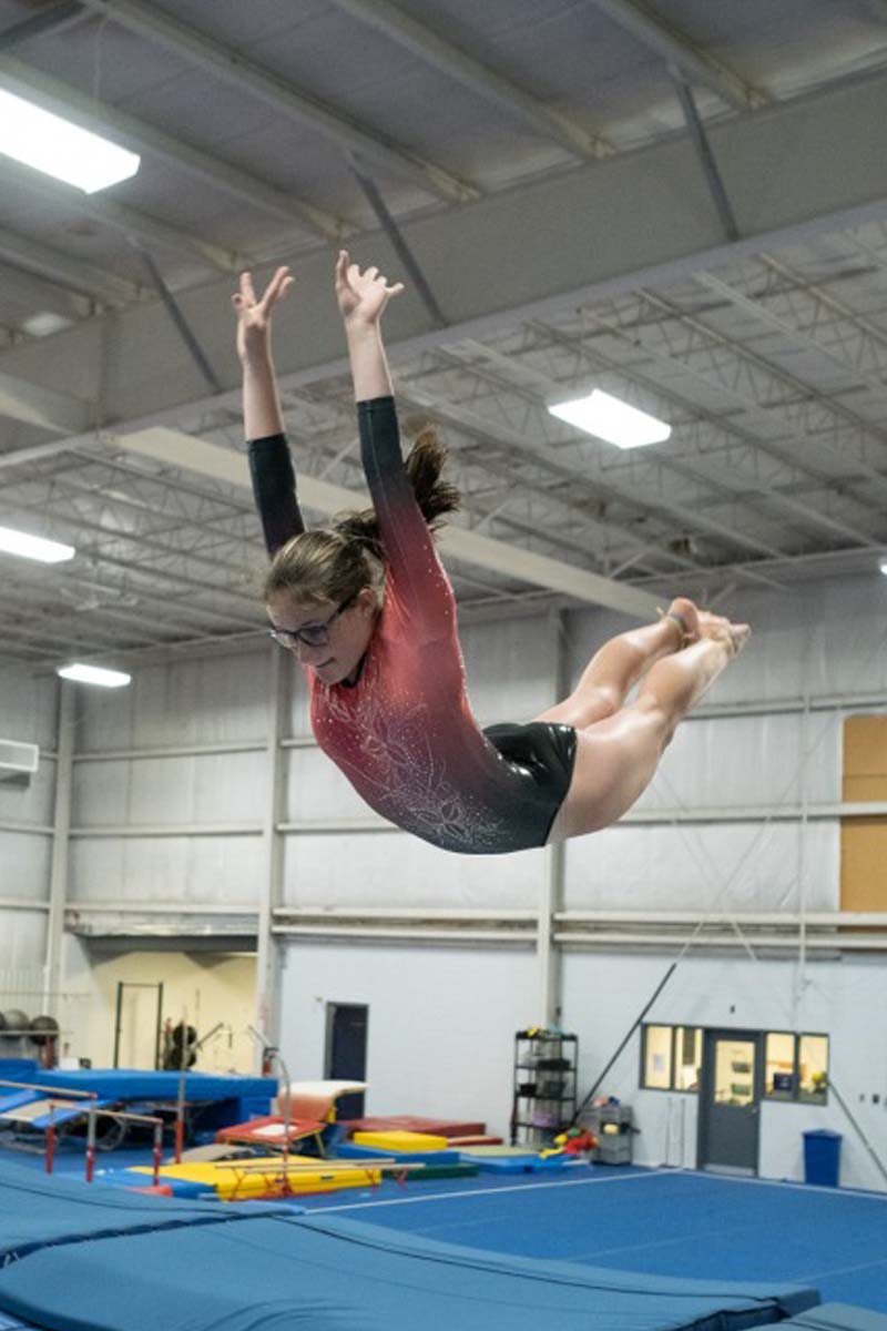 recreational gymnastics hamilton